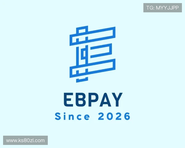关于EBpay